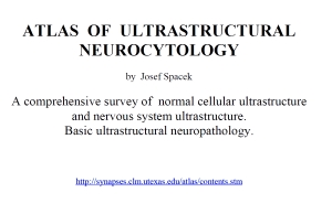 http://synapses.clm.utexas.edu/atlas/contents.stm